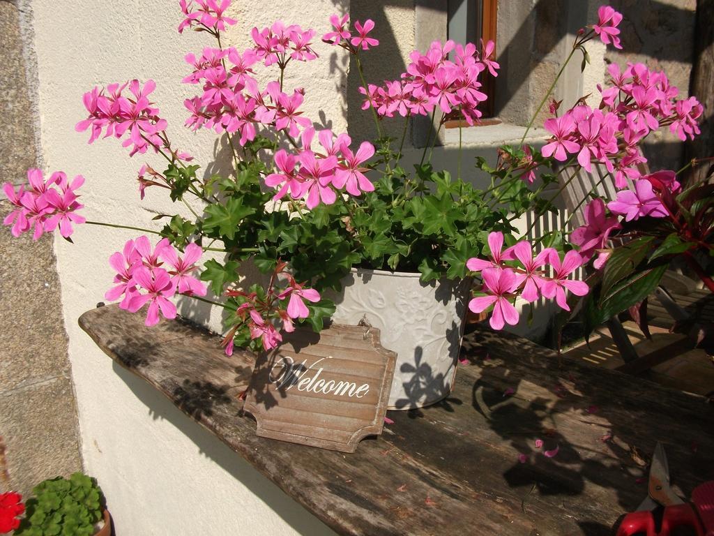 Bed and Breakfast 38 Friaudour Saint-Pardoux-lʼOrtigier Exterior foto