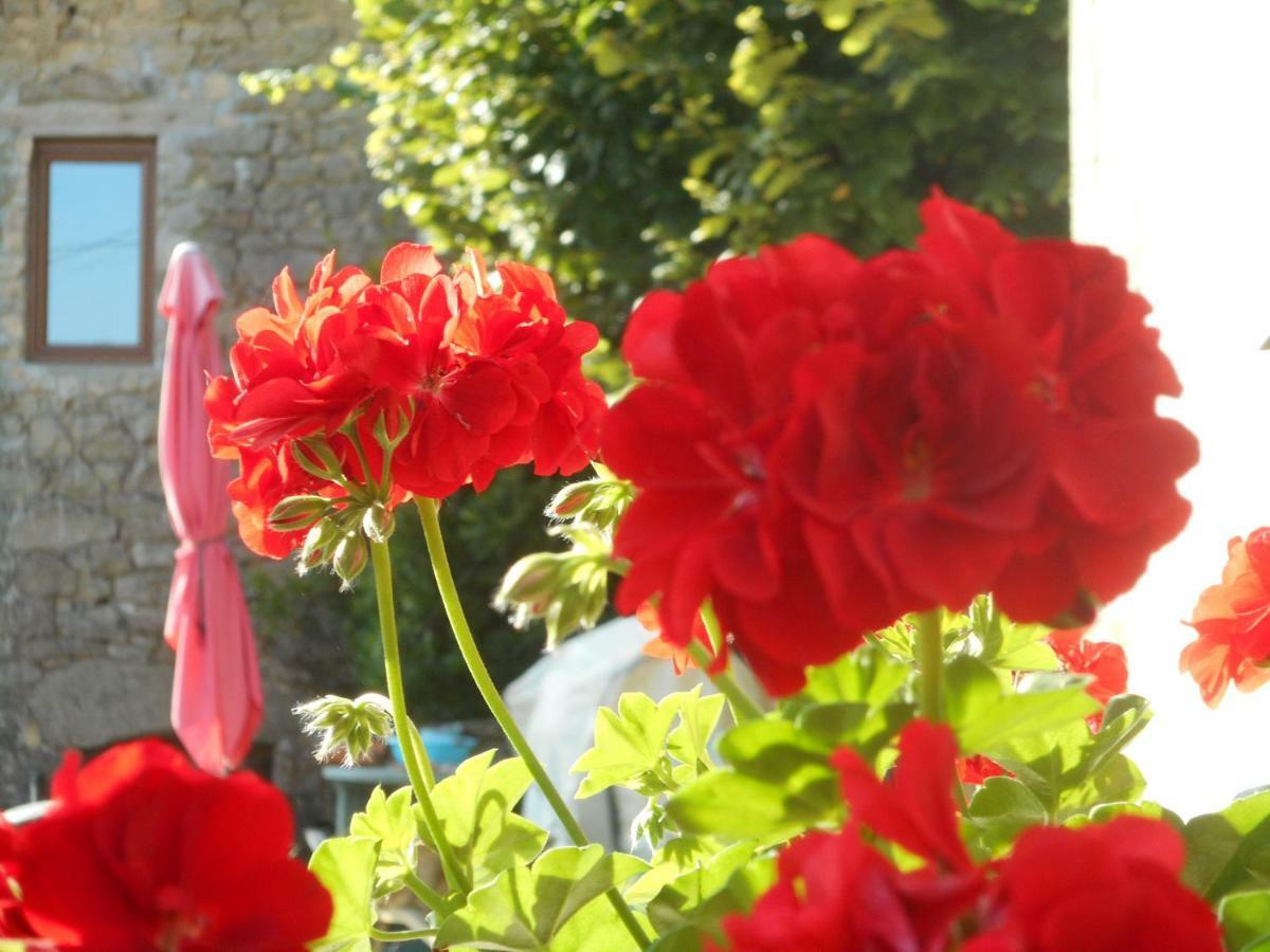 Bed and Breakfast 38 Friaudour Saint-Pardoux-lʼOrtigier Exterior foto